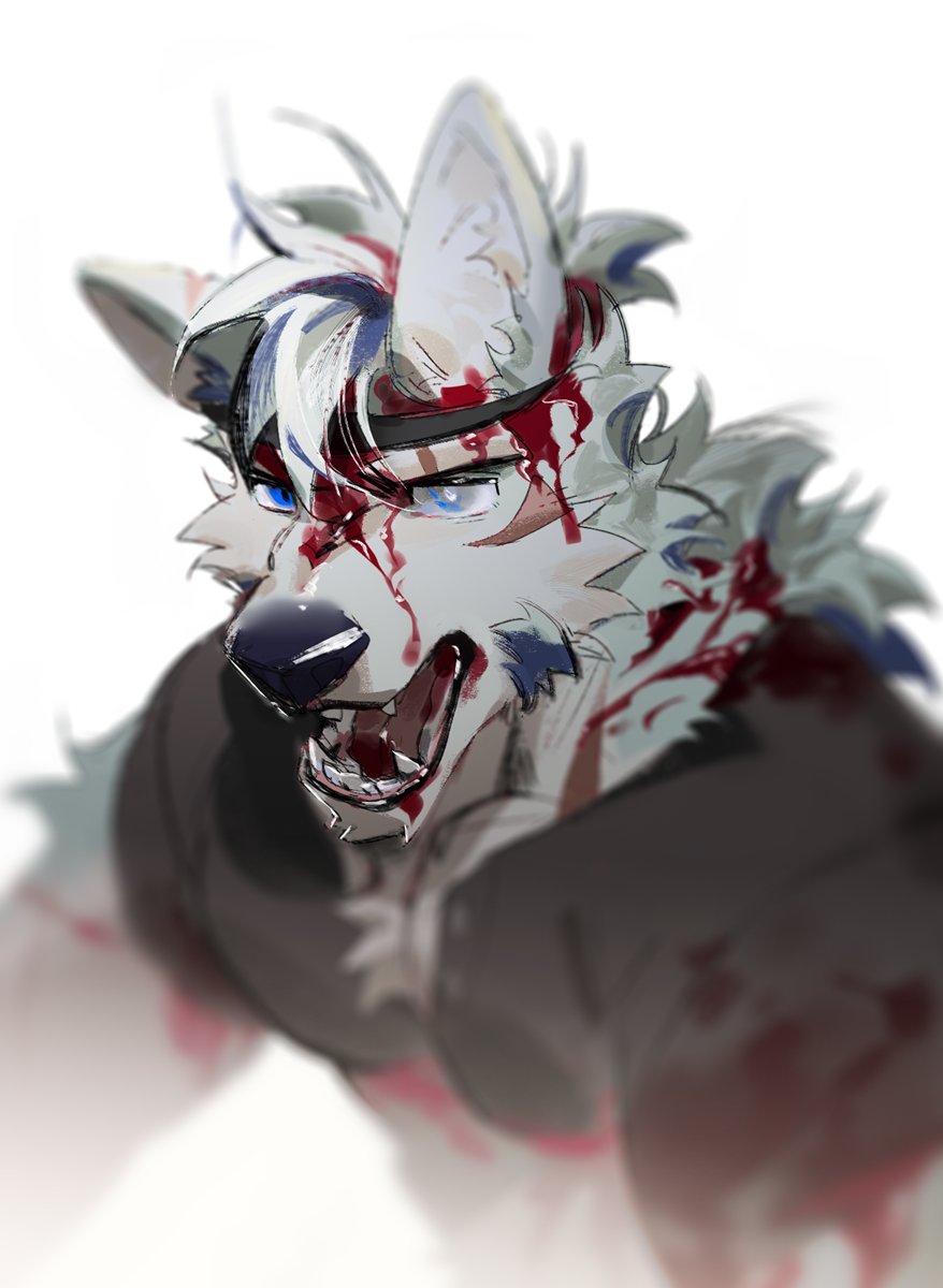 SeatoHao 画像番号 26