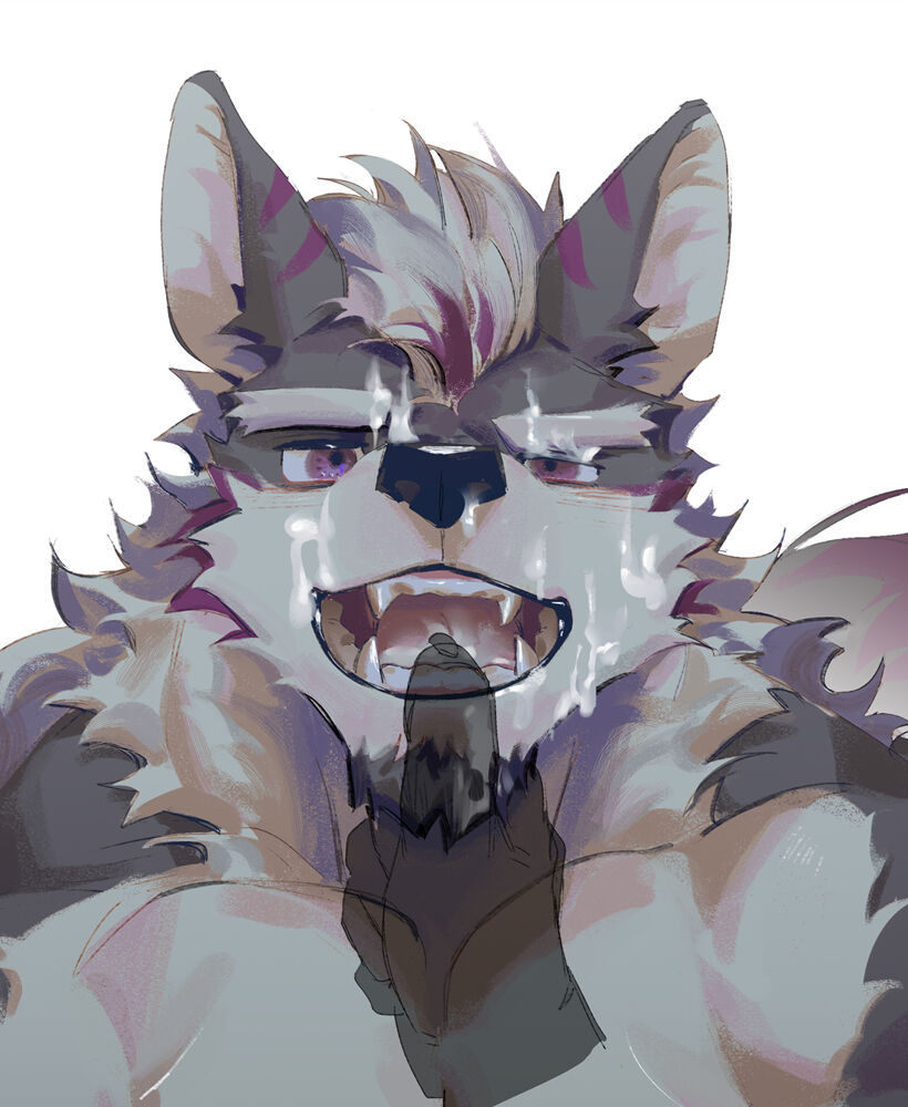 SeatoHao 画像番号 29