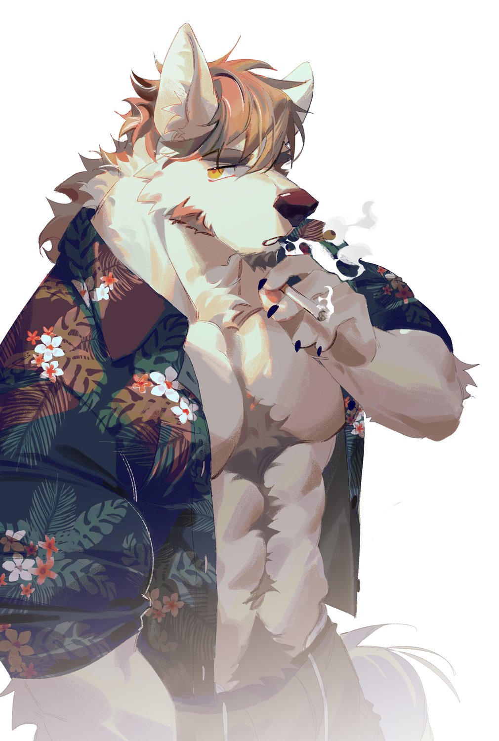 SeatoHao 画像番号 36