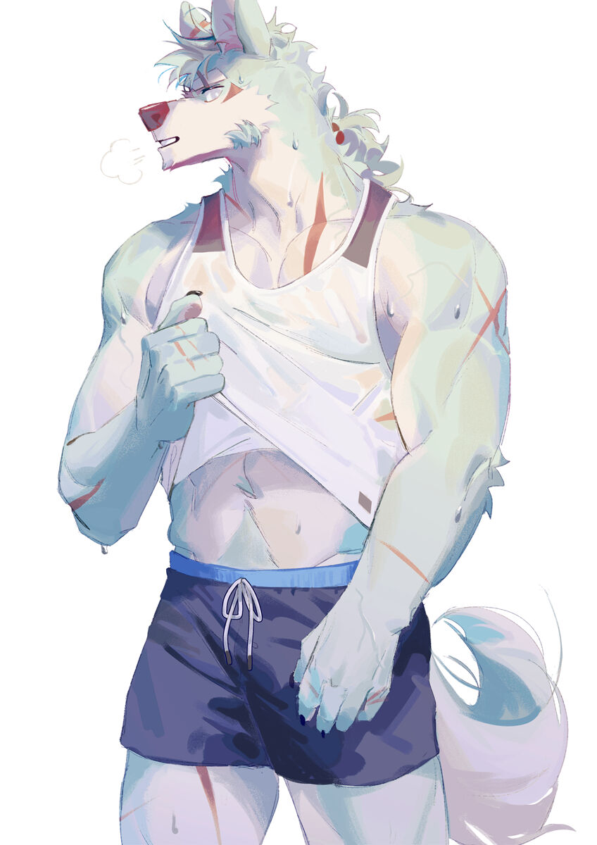 SeatoHao 画像番号 44