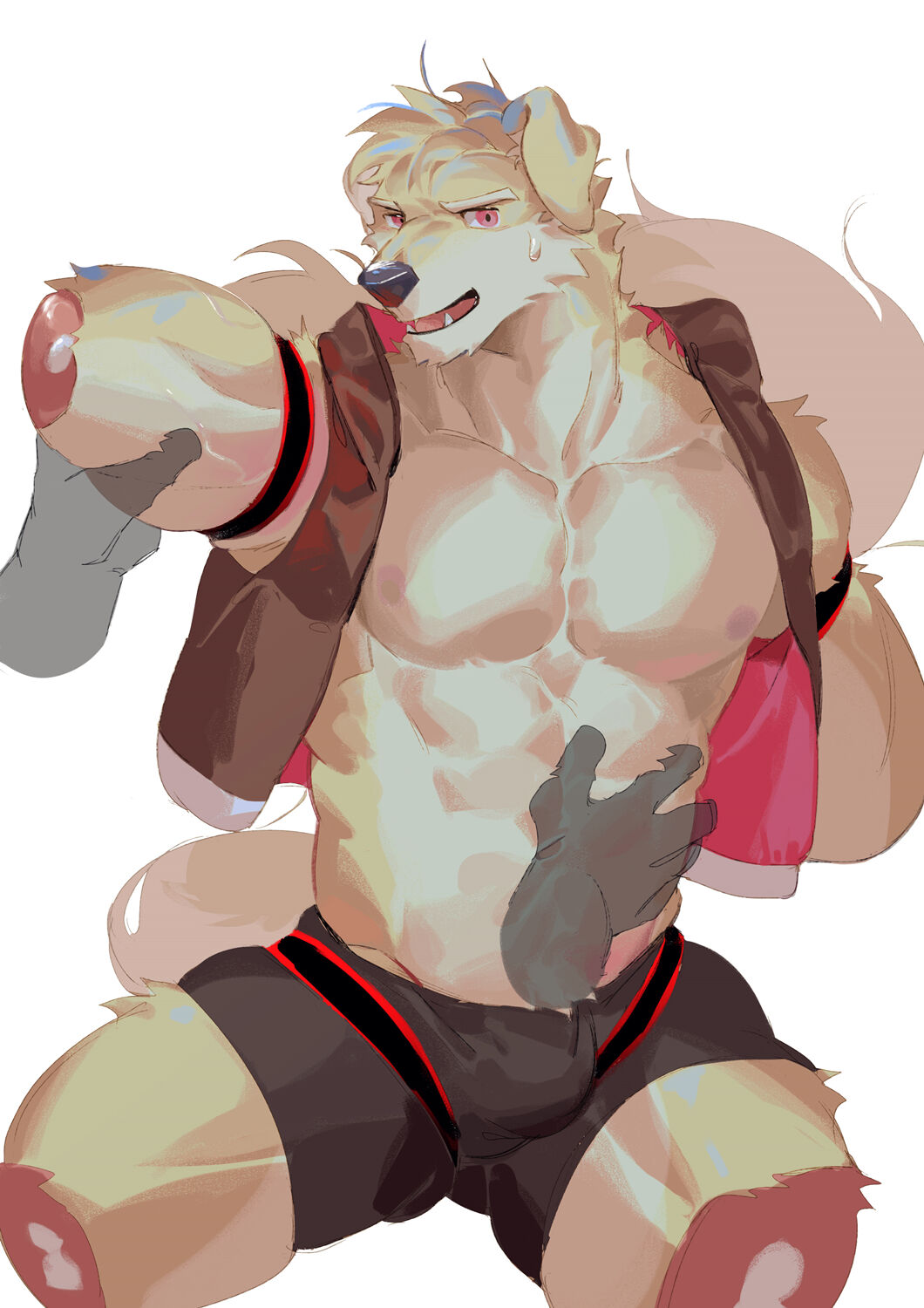 SeatoHao 画像番号 52