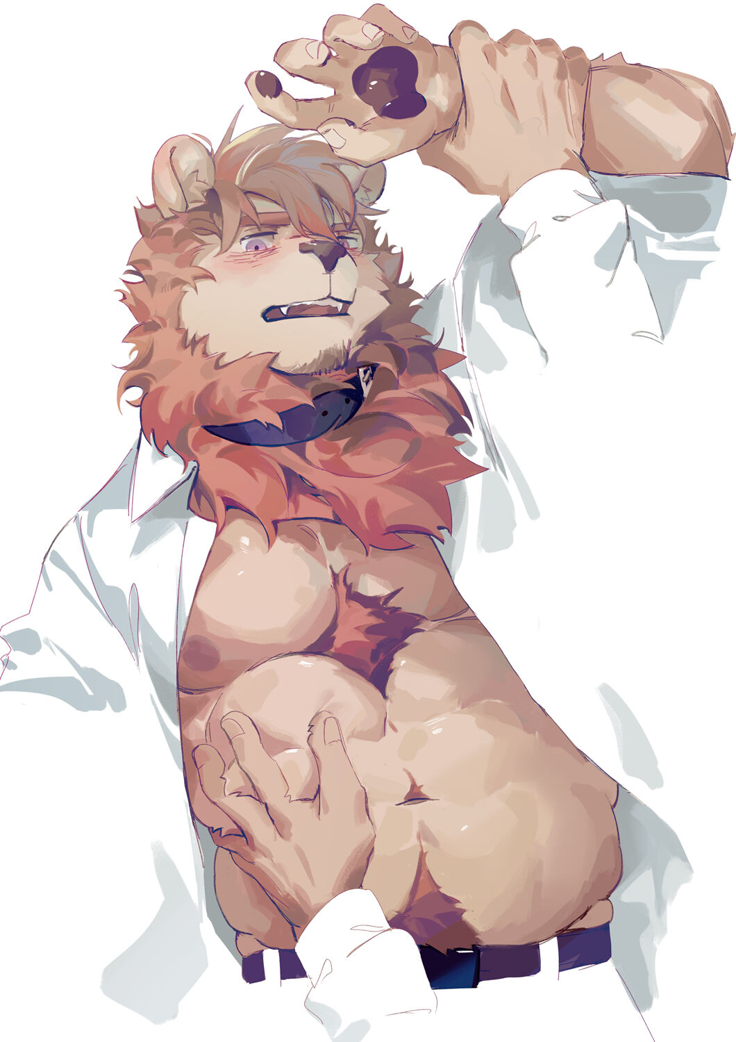 SeatoHao 画像番号 71