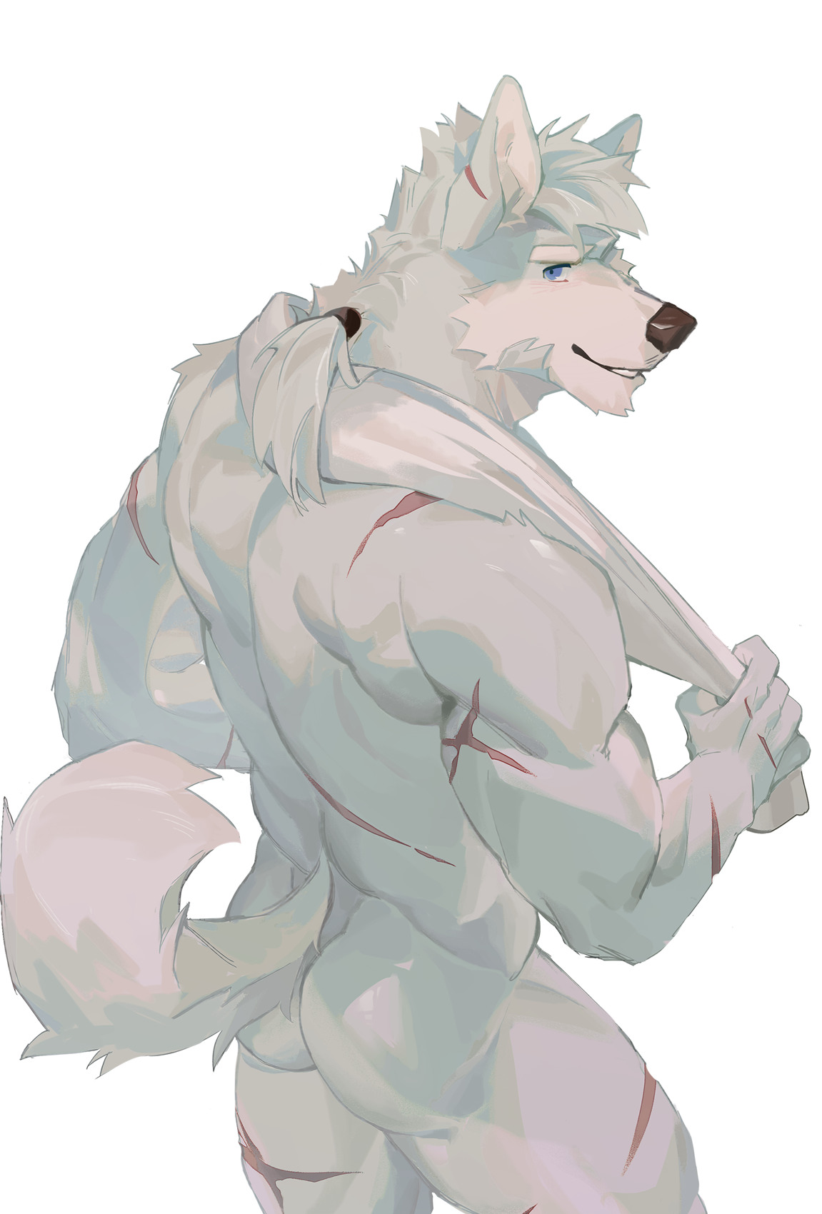 SeatoHao 画像番号 112