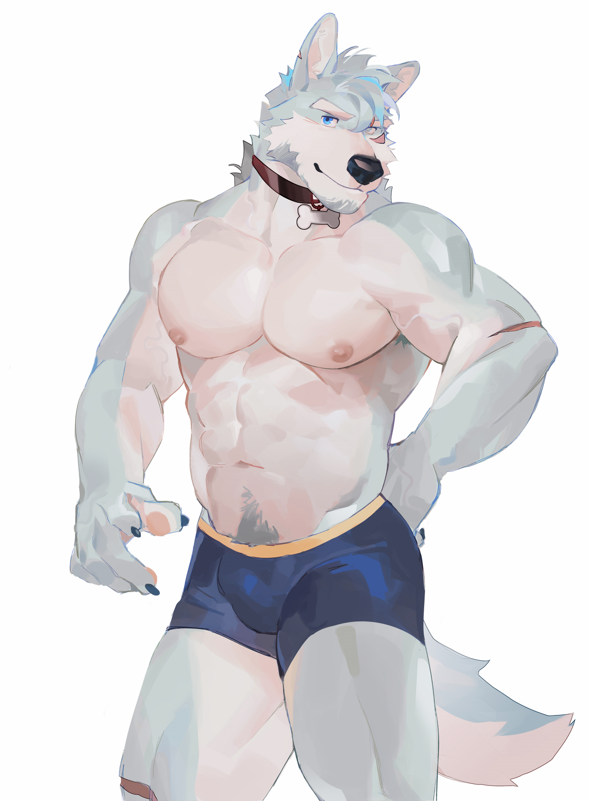 SeatoHao 画像番号 162