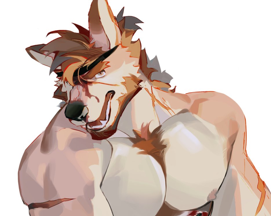 SeatoHao 画像番号 167