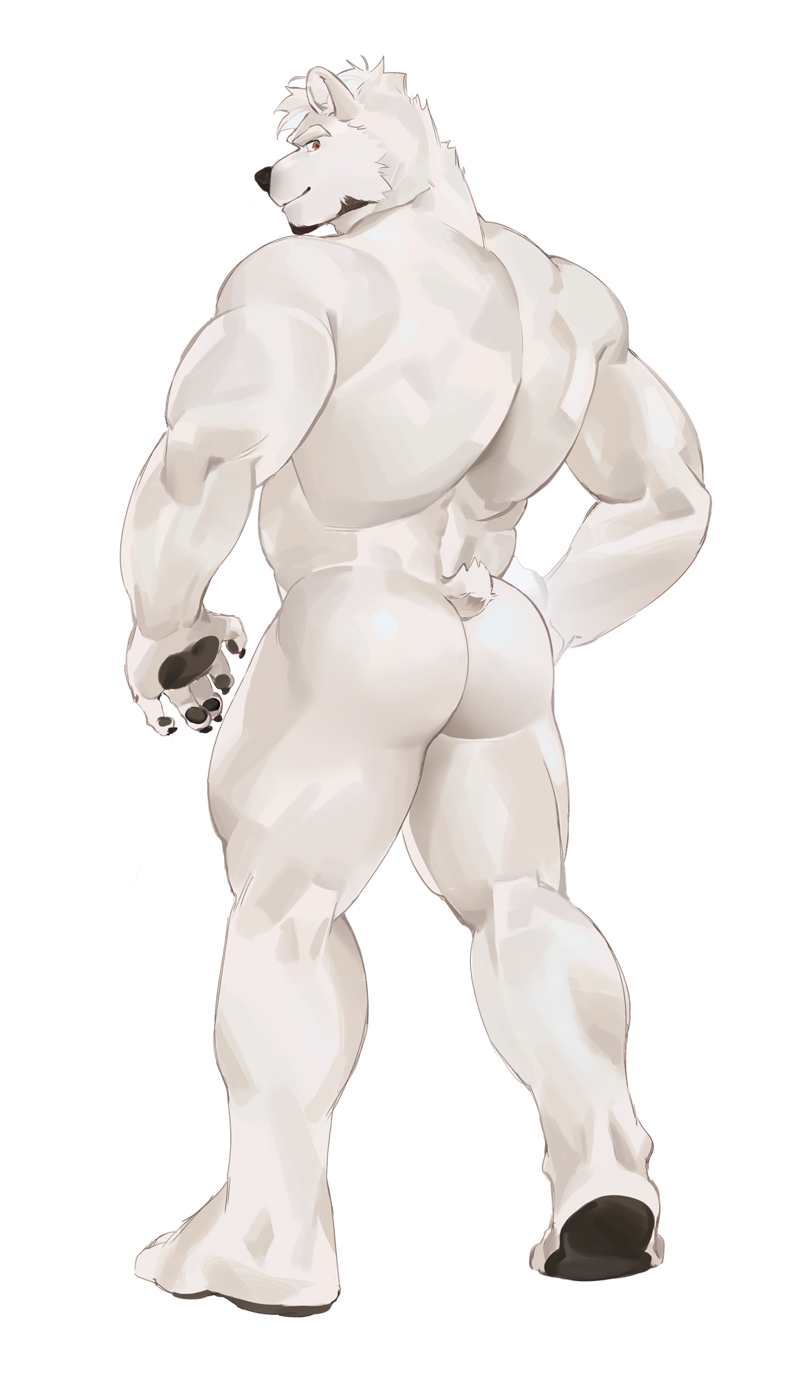 SeatoHao 画像番号 178