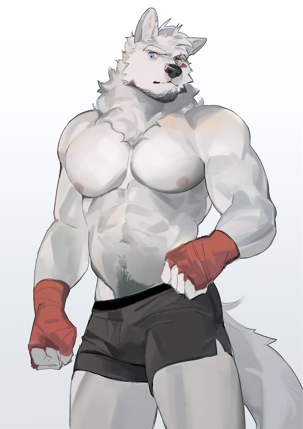 SeatoHao 画像番号 196