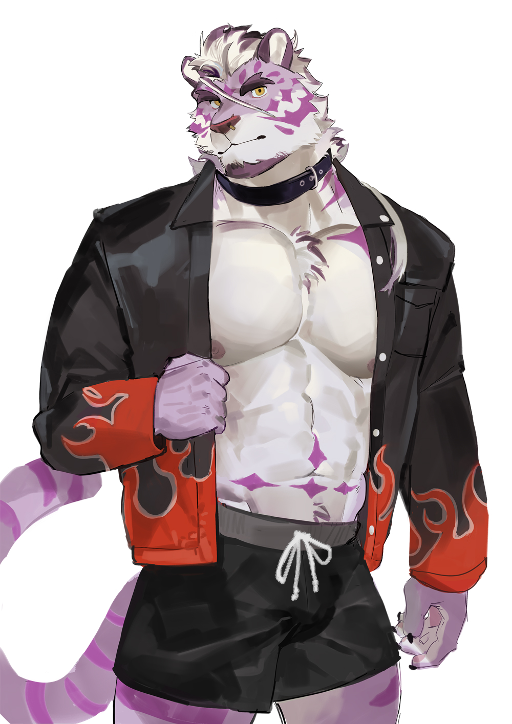 SeatoHao 画像番号 202