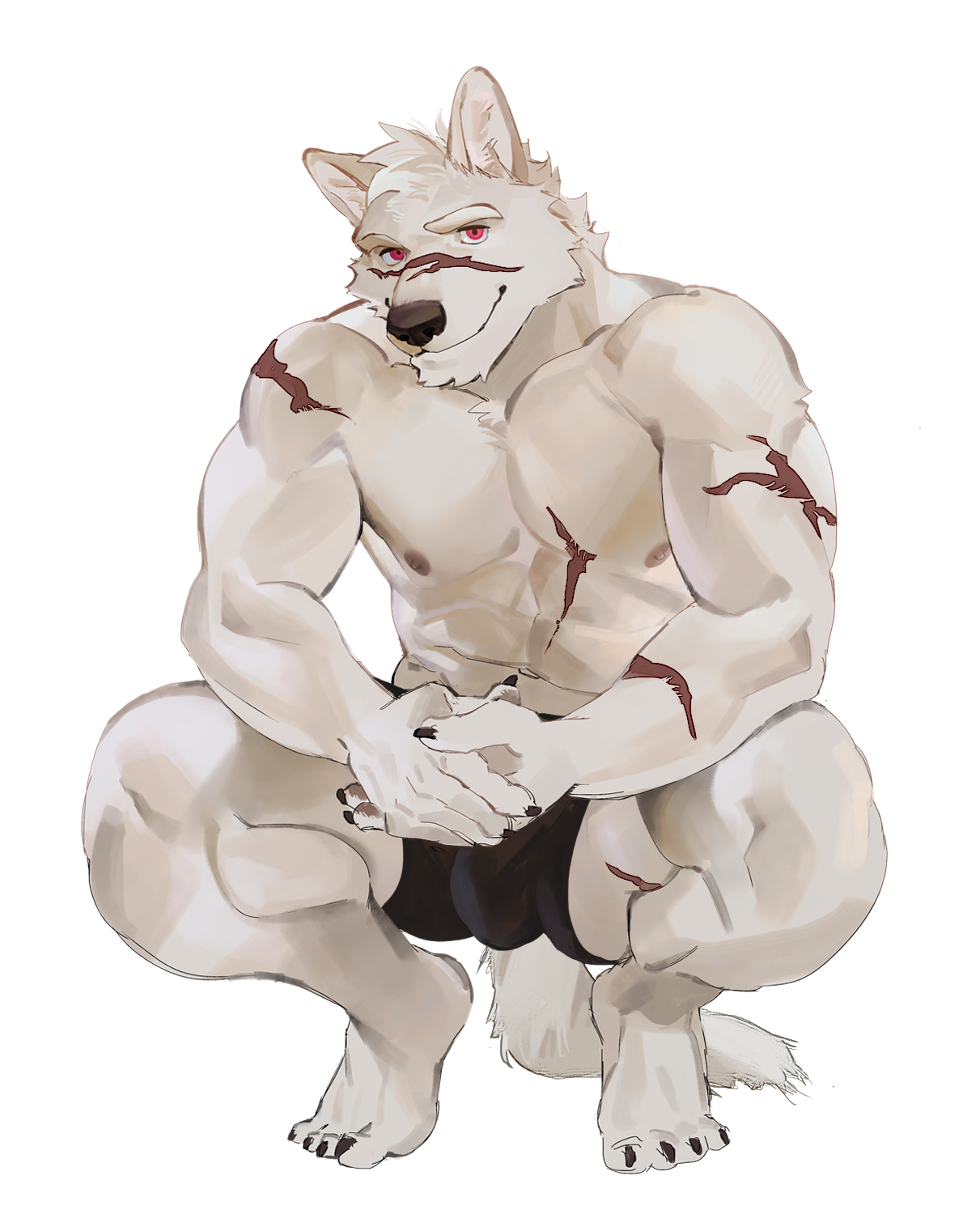 SeatoHao 画像番号 209