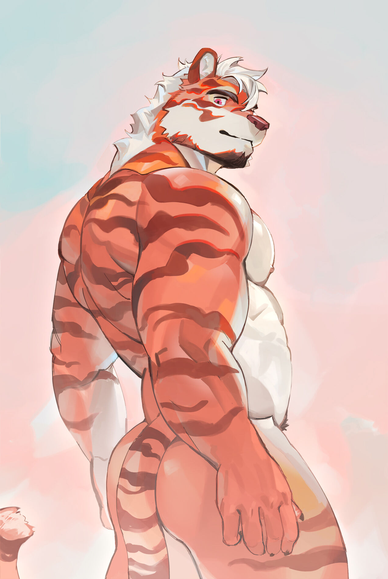 SeatoHao 画像番号 215