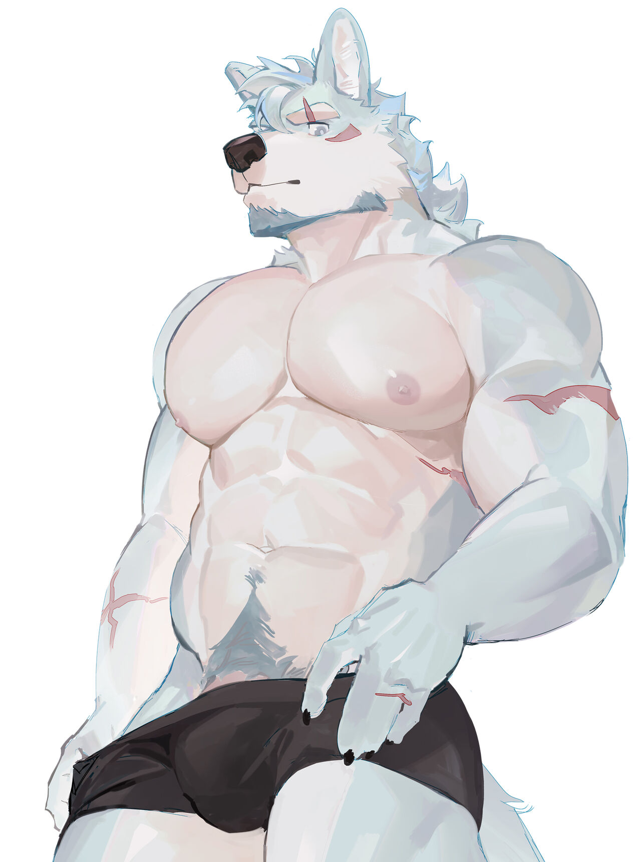 SeatoHao 画像番号 218