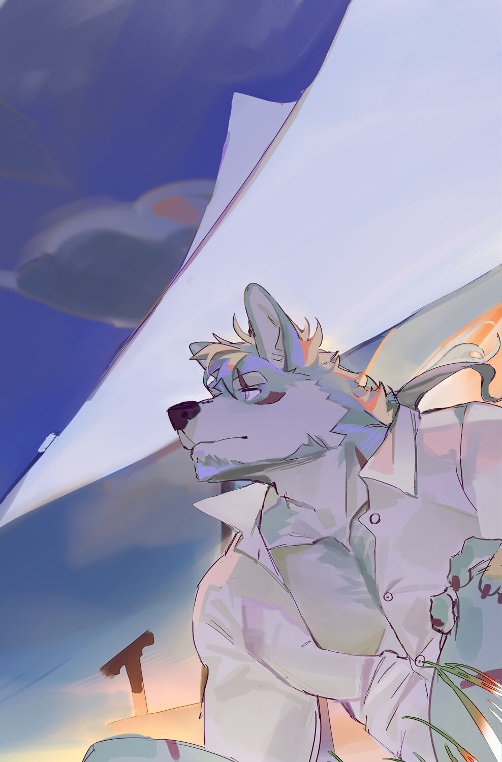 SeatoHao 画像番号 242