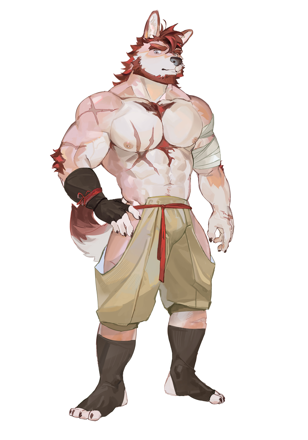 SeatoHao 画像番号 244