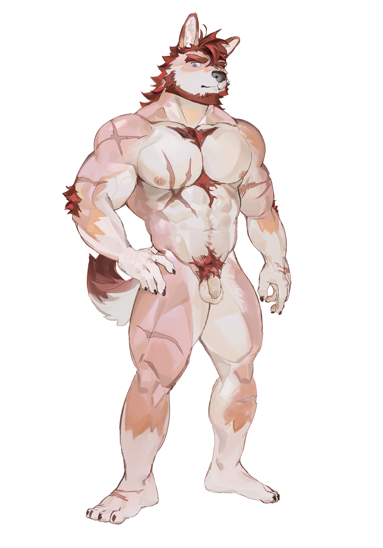 SeatoHao 画像番号 246