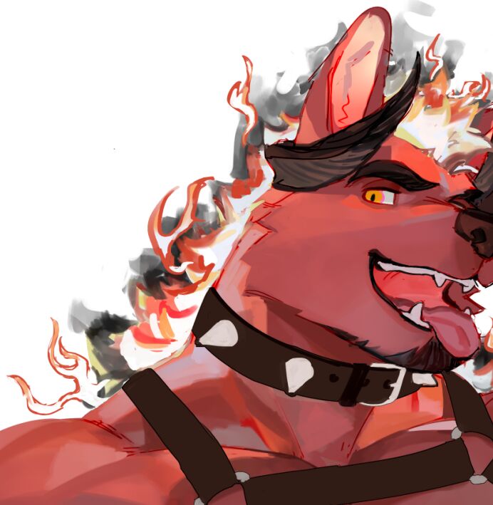 SeatoHao 画像番号 247