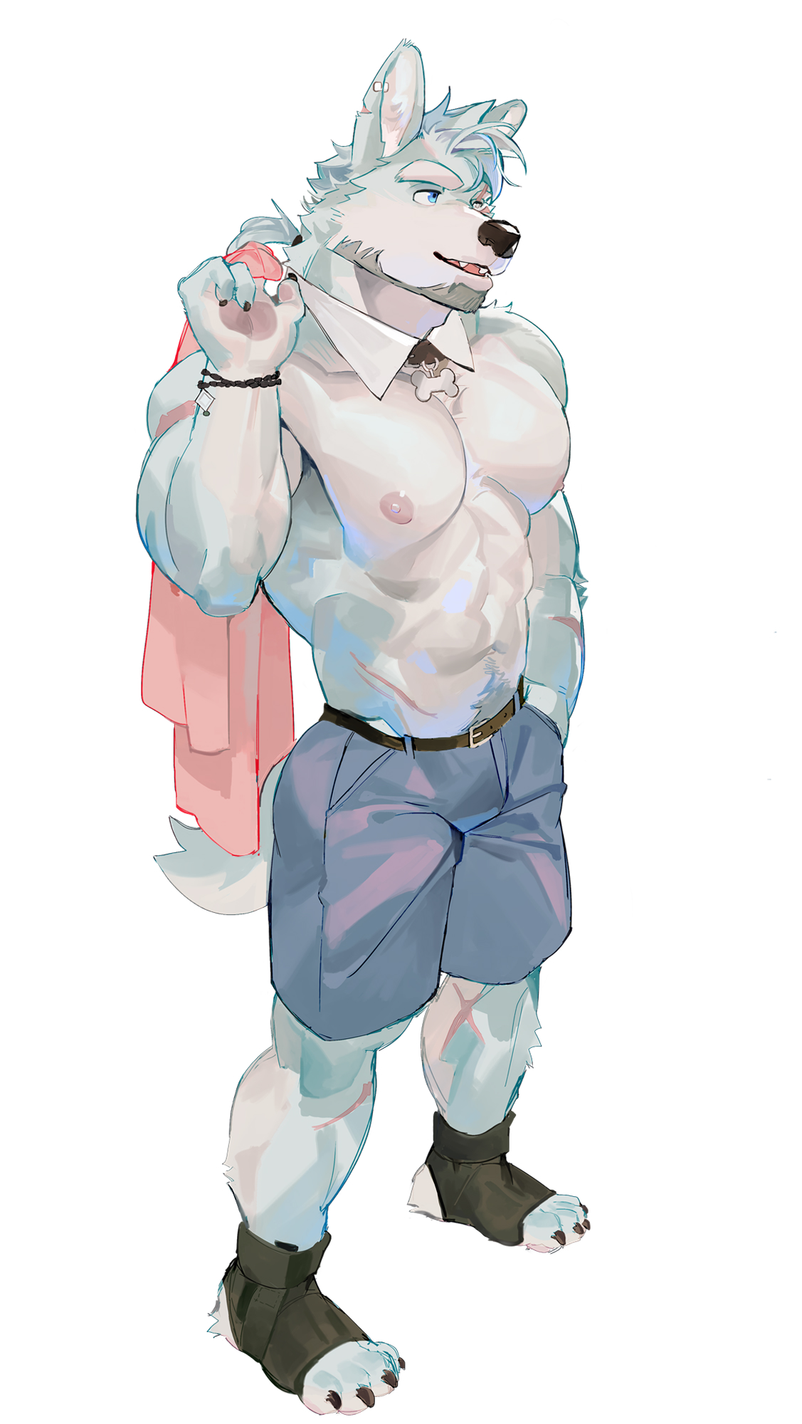 SeatoHao 画像番号 269