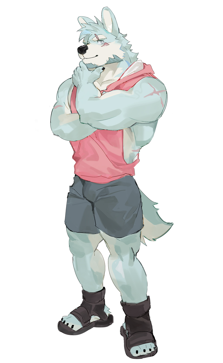 SeatoHao 画像番号 273