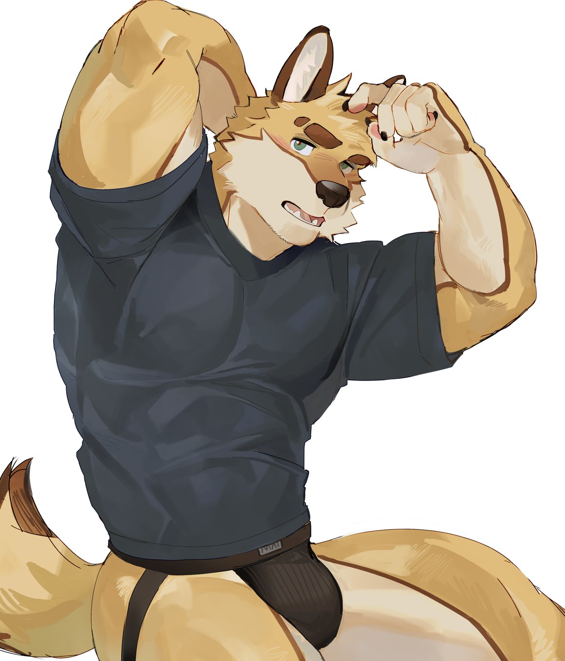 SeatoHao 画像番号 278