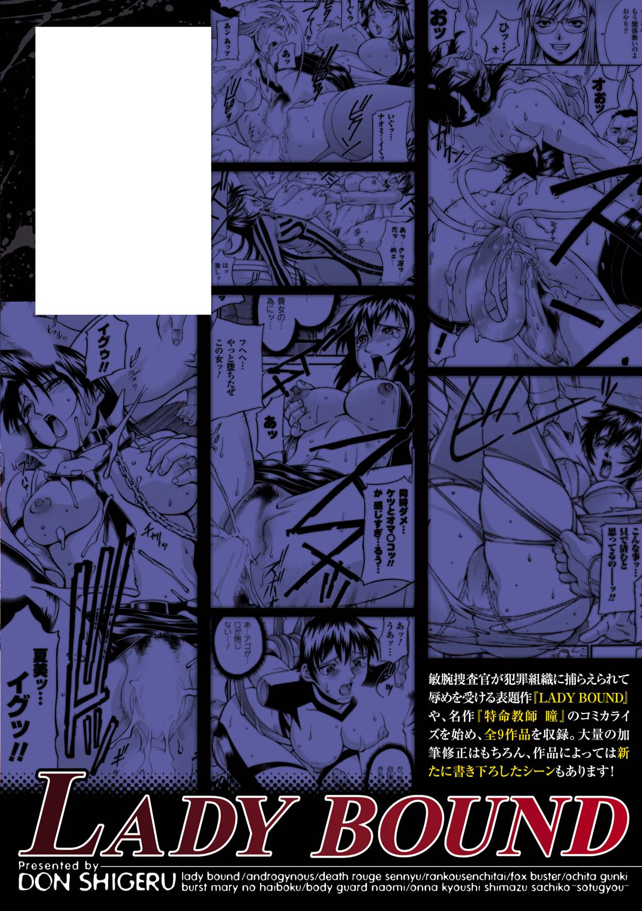 [Don Shigeru] LADY BOUND [Digital] 图片编号 166