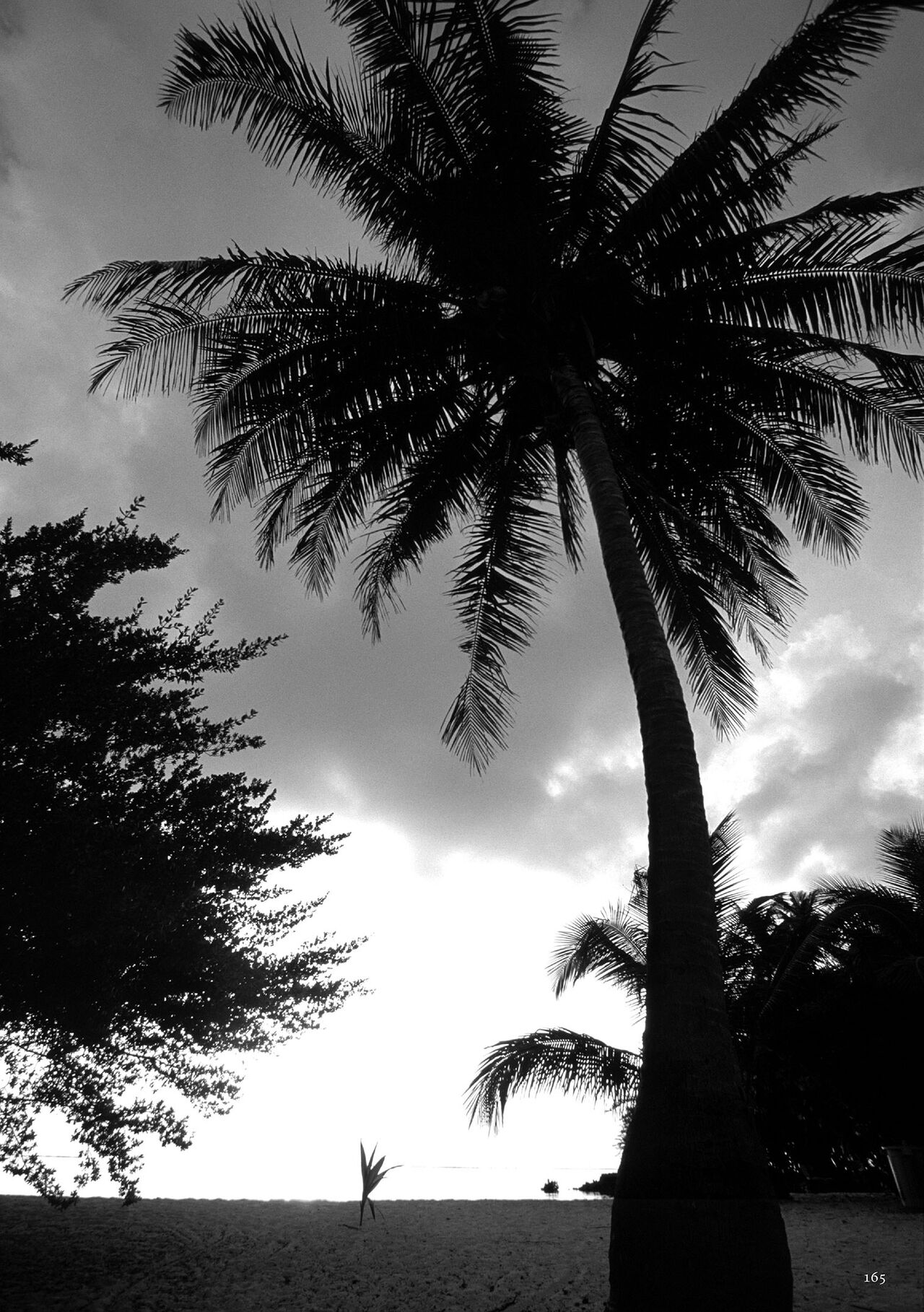 [Combat Ecchu] Chakushou! Haramase Island [Digital] 图片编号 167