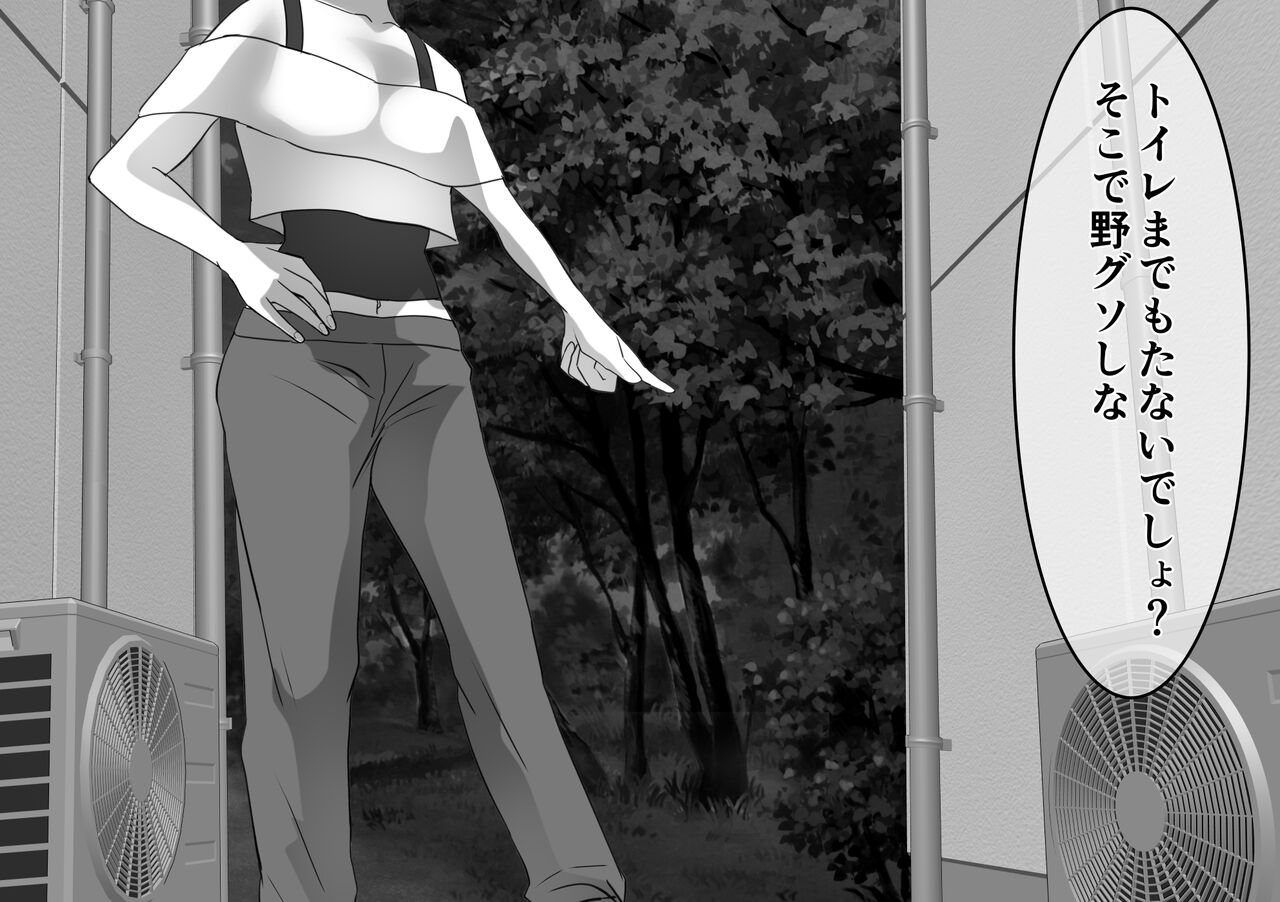 [Onna ni Yoru Onna e no Ryoujoku] DQN Furyou Joshi-tachi no Jukujo Kanchou Ijime 5 图片编号 12