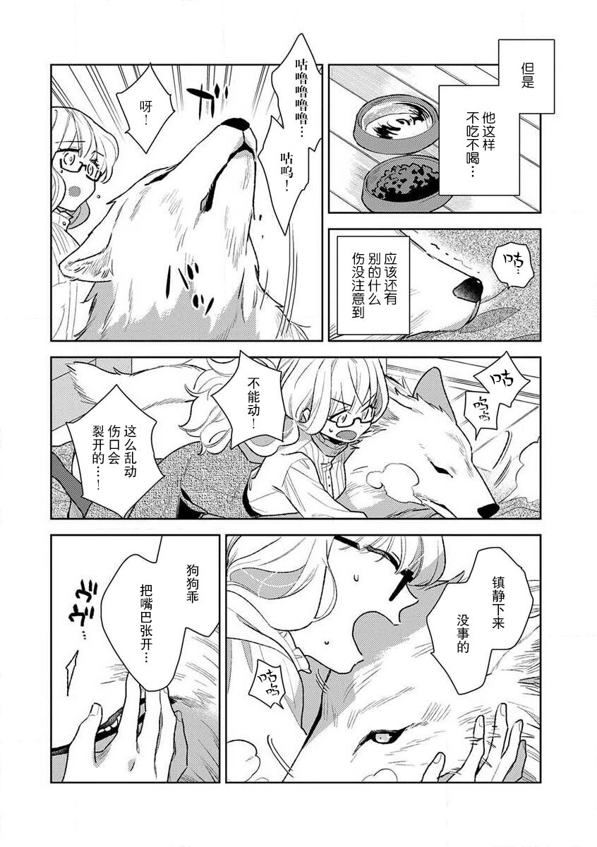 [Ichii Chii] okamisama no iruikonintan ~ oshikake dekiai sa remashita ~ | 狼大人的异族婚姻谭–被找上门来的老公宠上天 1-3 [Chinese] [莉赛特汉化组] 21eme image