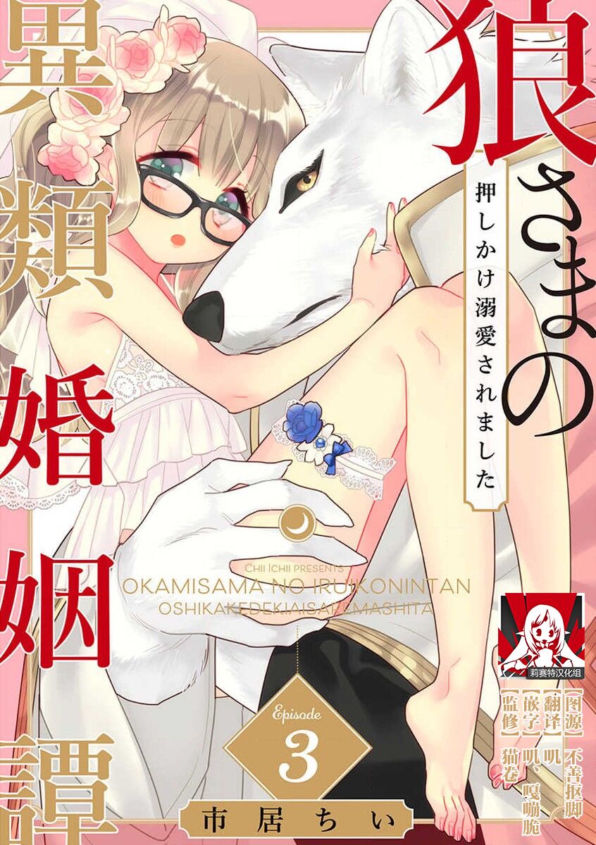 [Ichii Chii] okamisama no iruikonintan ~ oshikake dekiai sa remashita ~ | 狼大人的异族婚姻谭–被找上门来的老公宠上天 1-3 [Chinese] [莉赛特汉化组] 63eme image