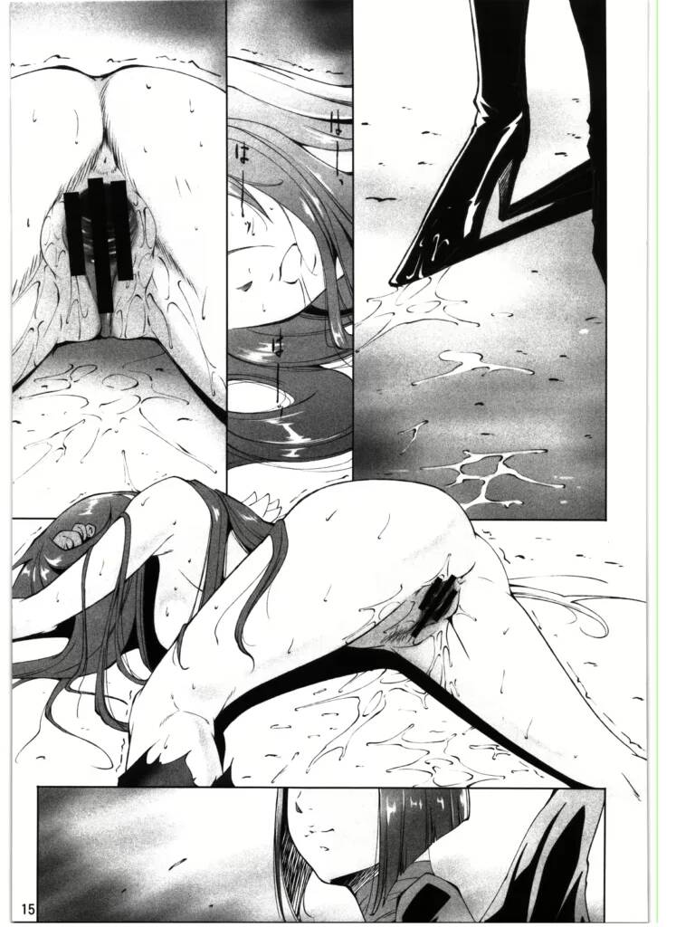 (C78) [Itsukidou (Touma Itsuki)] Tsukiyami (Heart Catch Precure!) [Spanish] [Scan Jheili] image number 14