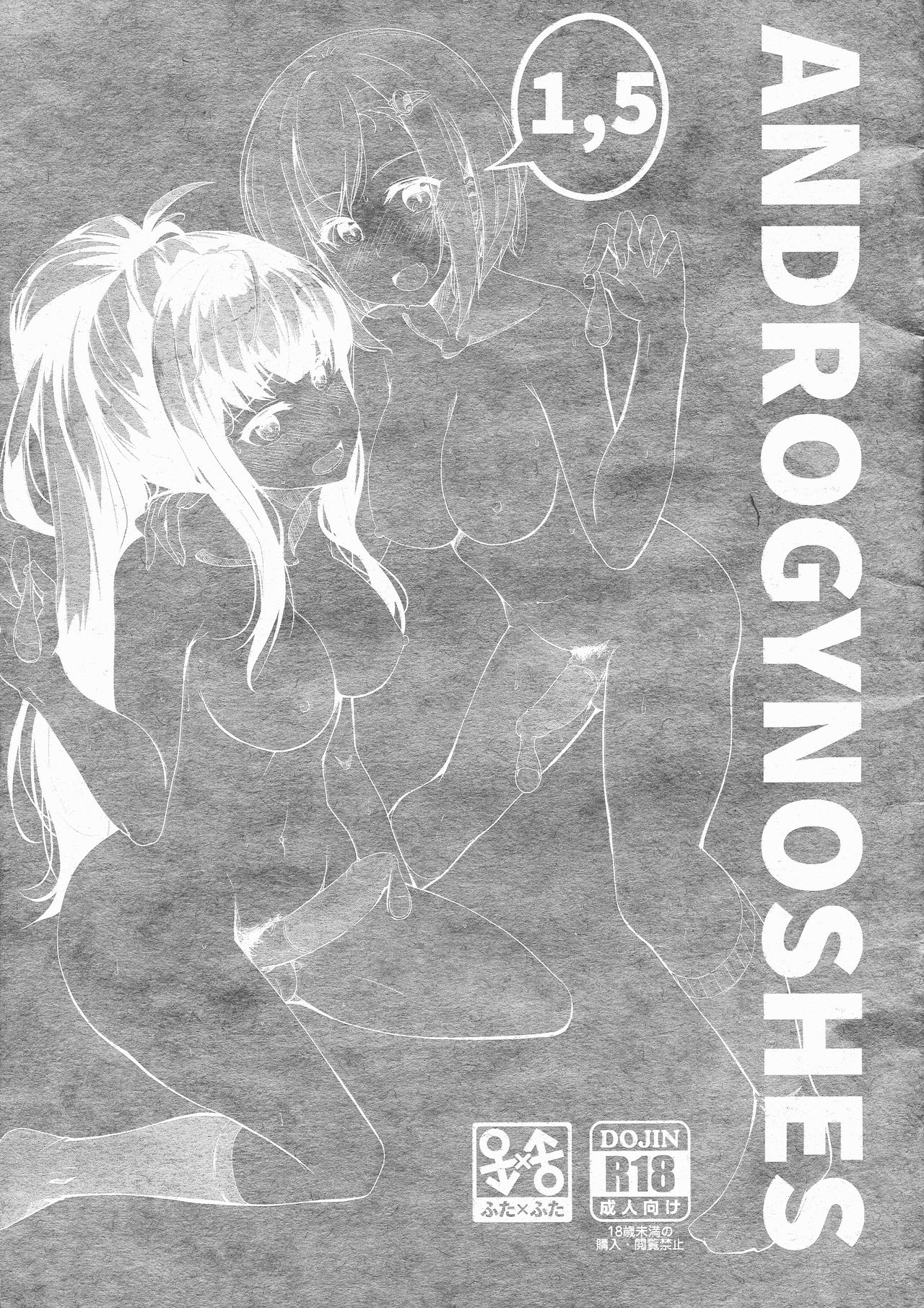 (Futaket 15) [Obsession! (Hyoga)] ANDROGYNOSHES 1.5 画像番号 1