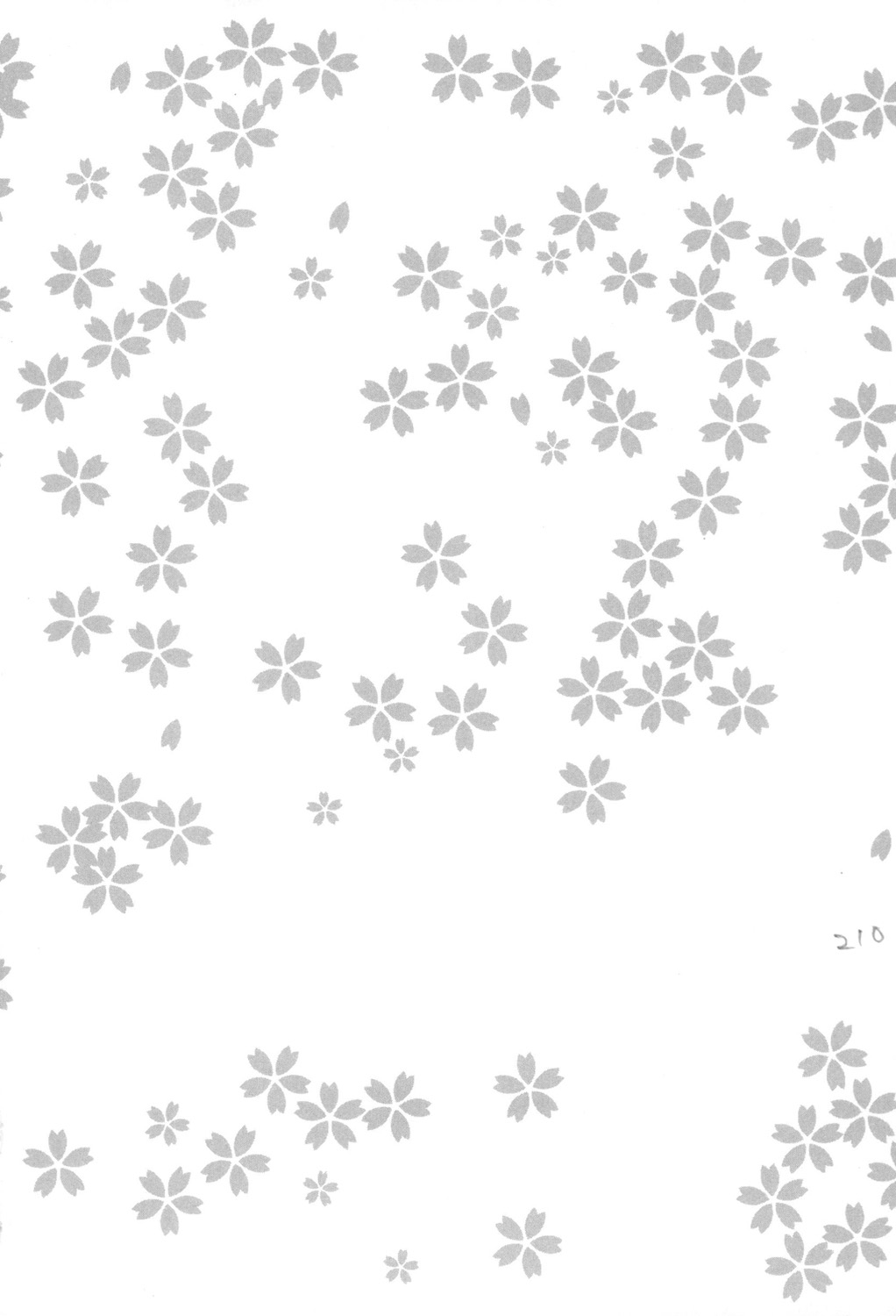 [Sena Youtarou] Maruimo!? [Digital] 211eme image