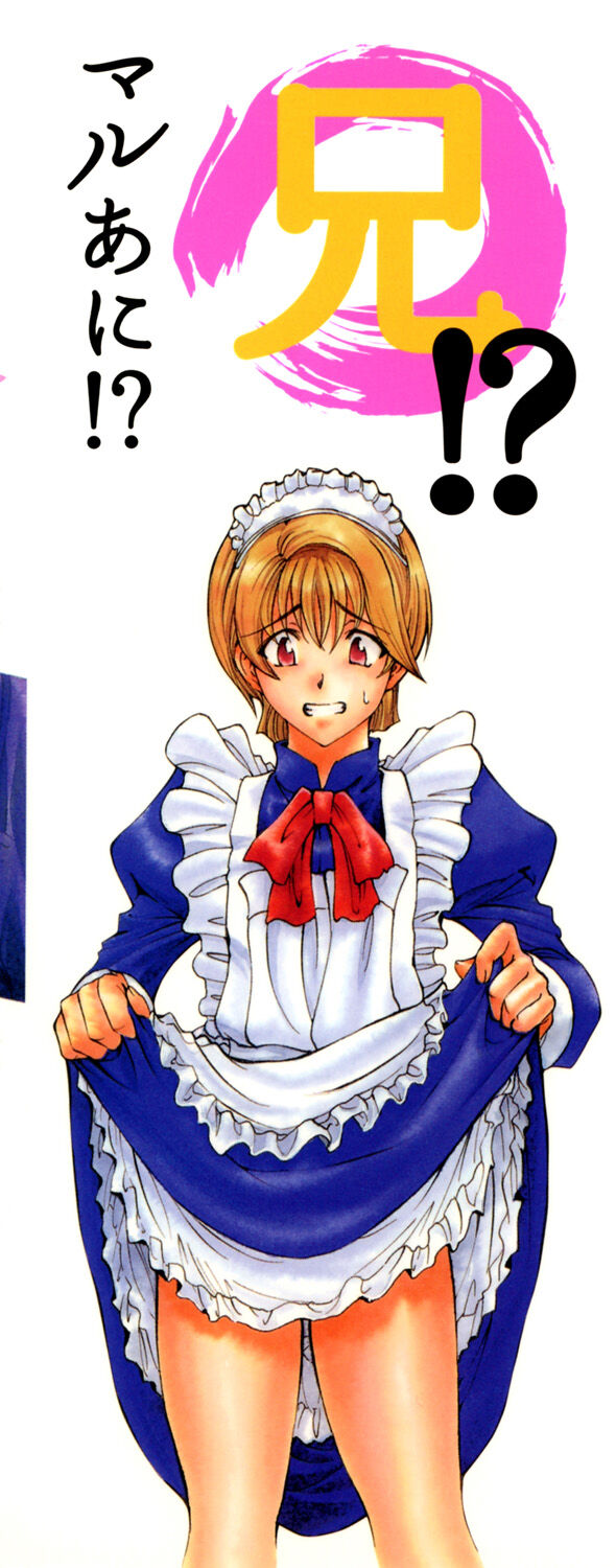 [Sena Youtarou] Maruimo!? [Digital] 216eme image