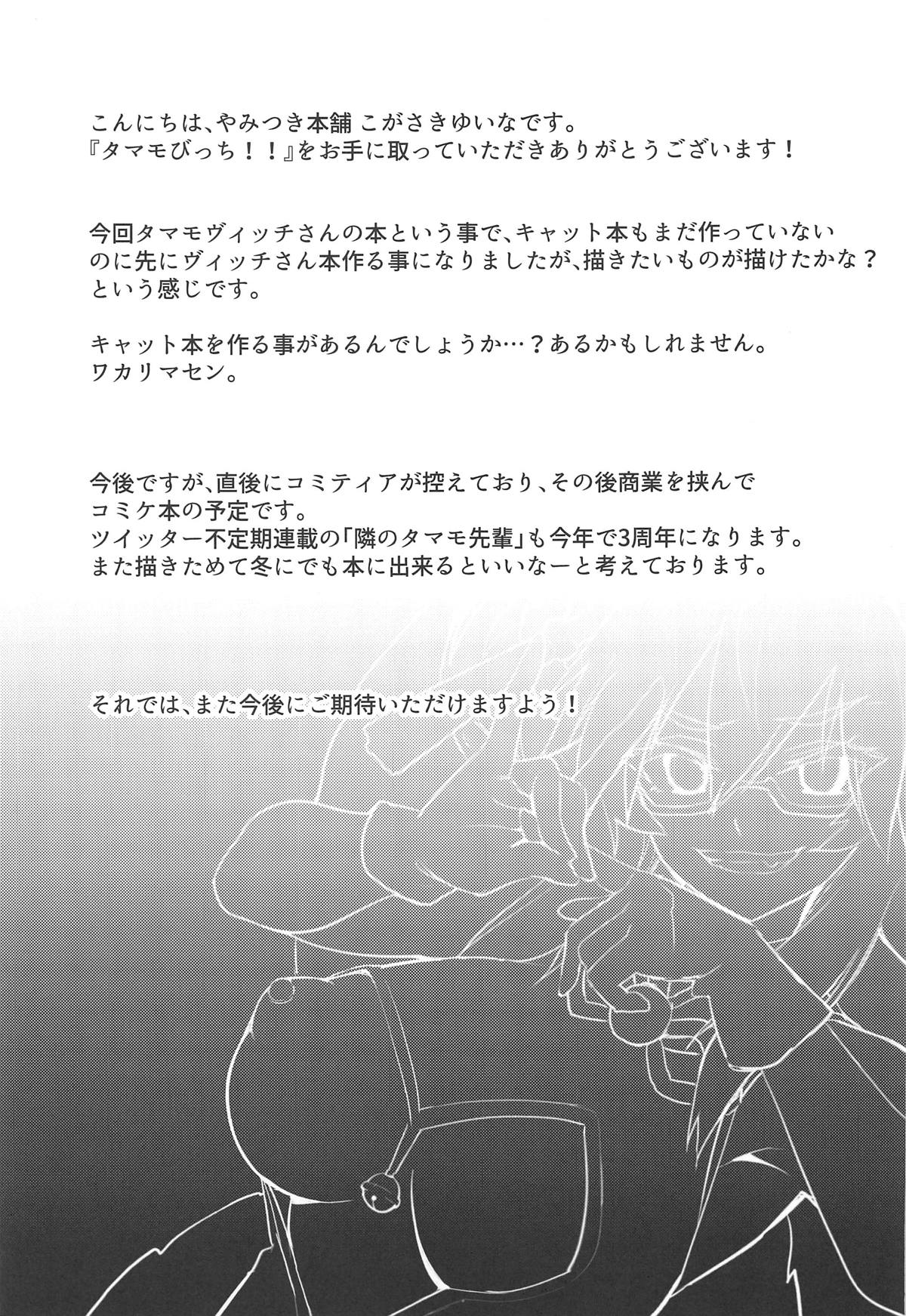 [Yamitsuki Honpo (Wise Speak)] Tamamo Bitch!!! (Fate/Grand Order) [French] [Northface] image number 19