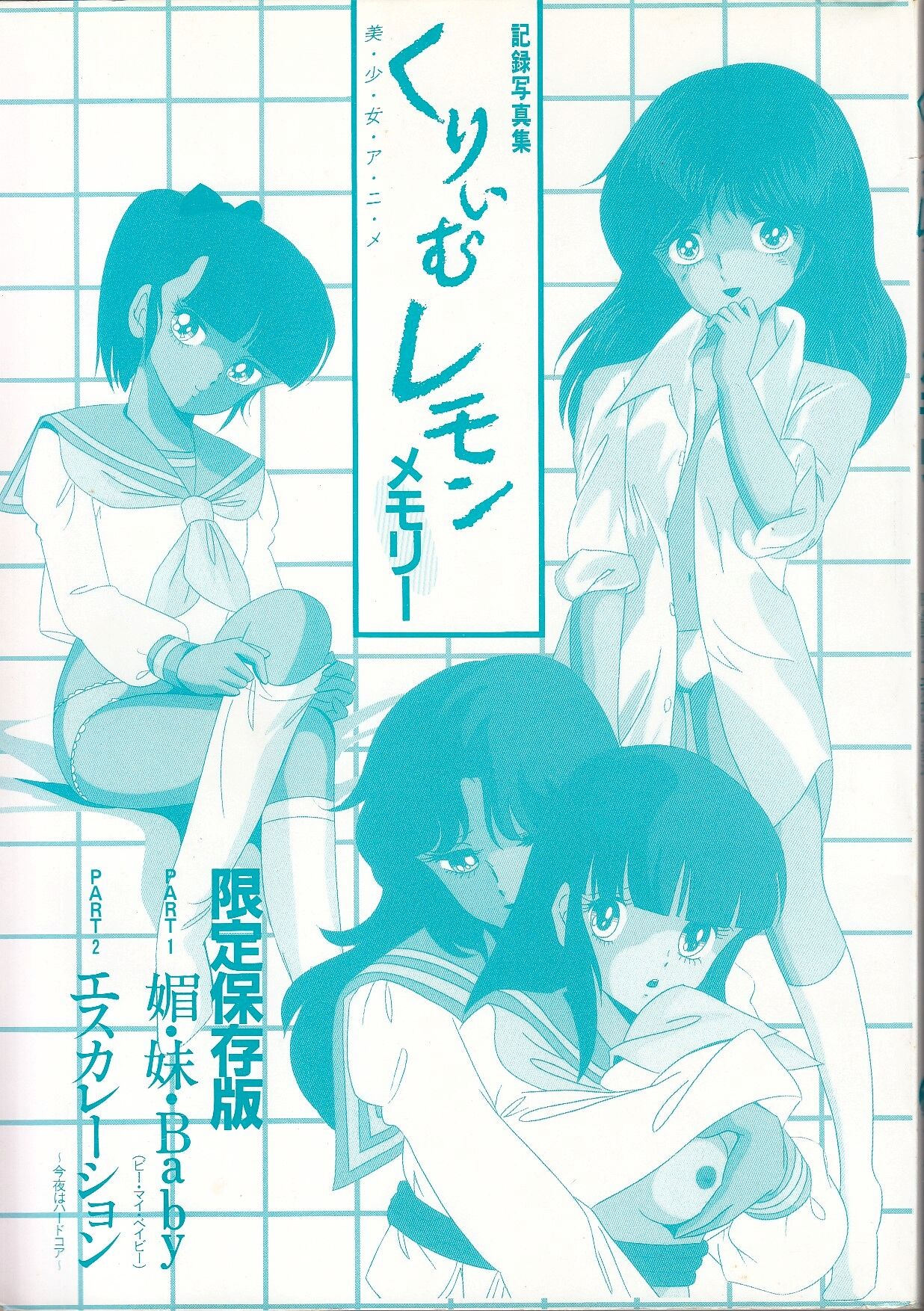 Cream Lemon Memory Kiroku Shashinshuu numero di immagine  2