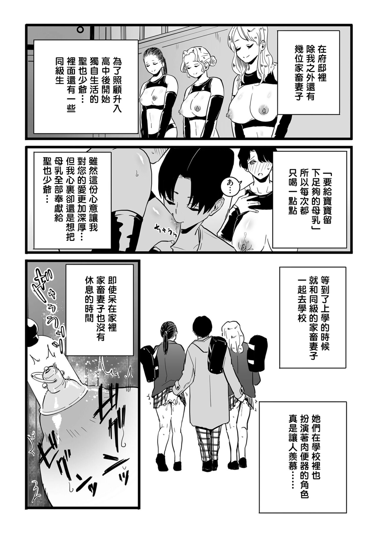 [CHOMA] Mesu Dorei Sengen denshi tokusou ban egaki oroshi manga [Chinese] [個人機翻] numero di immagine  5