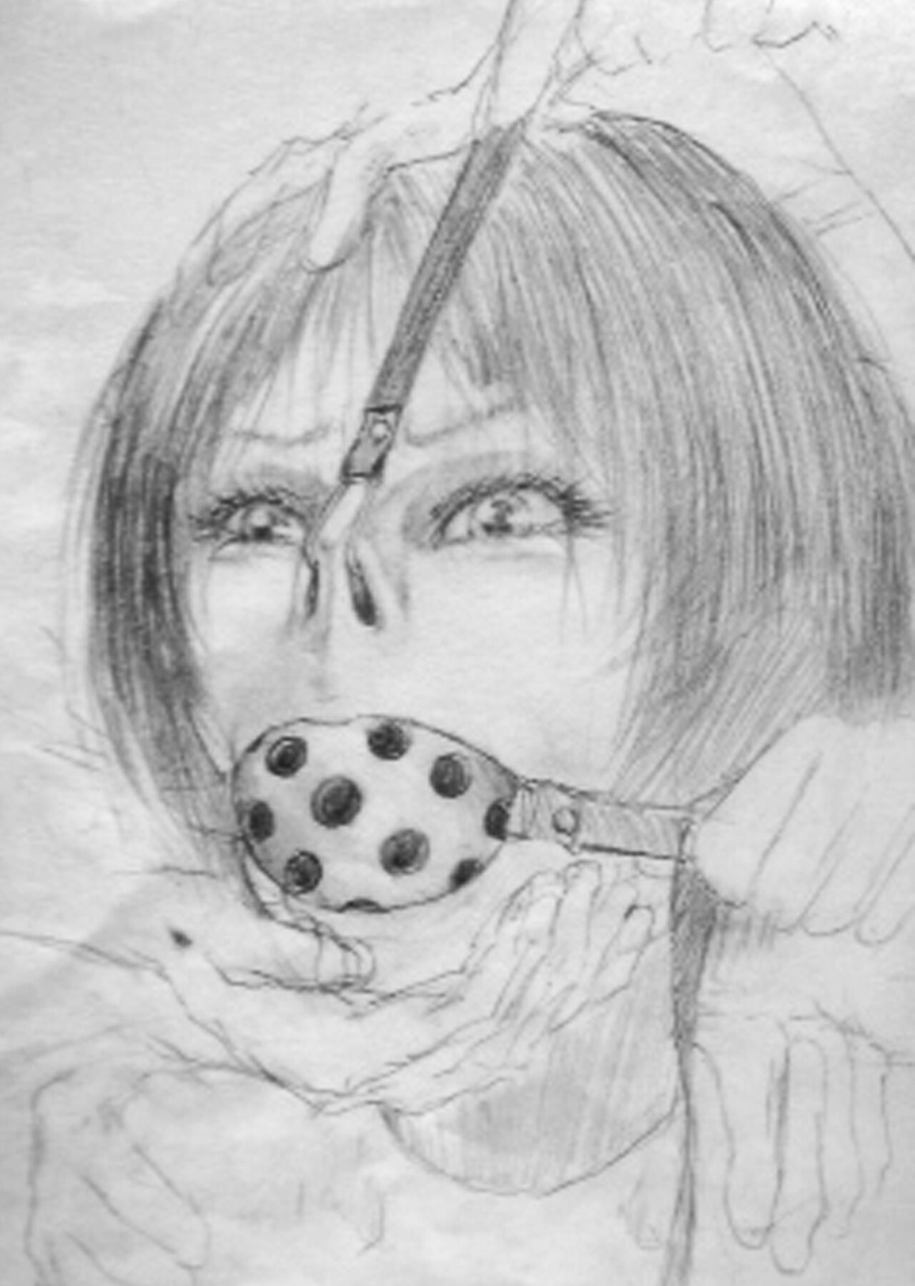 [BBB] Katte ni Buta Aigo ♡ [Complete Version] image number 1