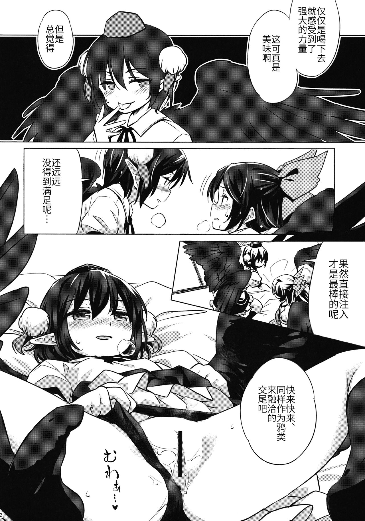 (Shuuki Reitaisai 4) [Animal Passion (Yude Pea)] Gensou Karasu Kyousoukyoku (Touhou Project)[Chinese] numero di immagine  11
