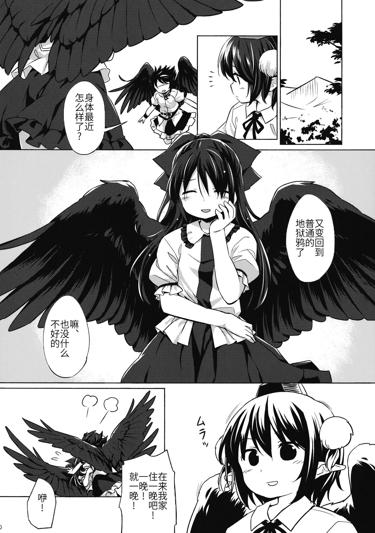 (Shuuki Reitaisai 4) [Animal Passion (Yude Pea)] Gensou Karasu Kyousoukyoku (Touhou Project)[Chinese] numero di immagine  19