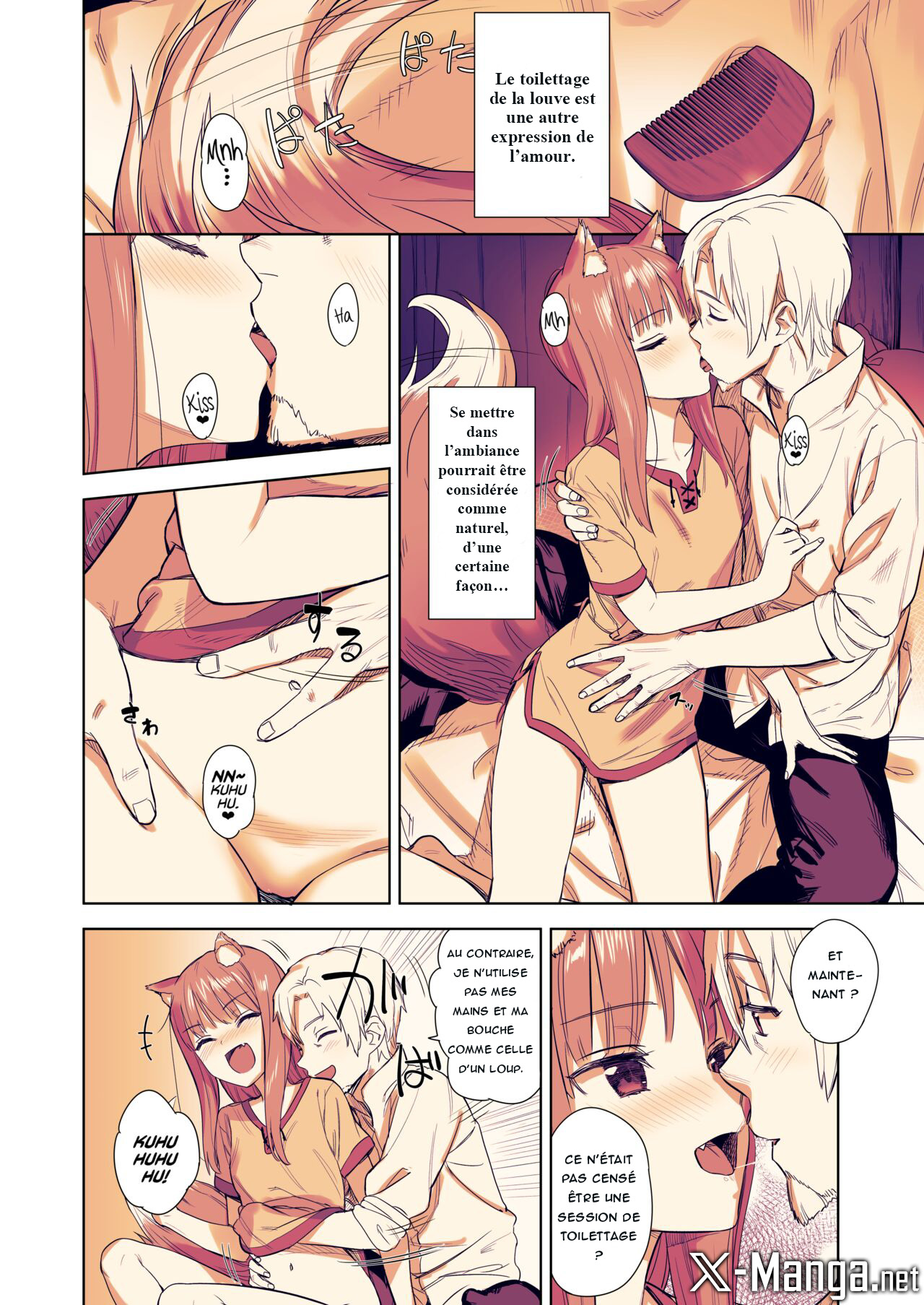 [Ajisaidenden (Kawakami Rokkaku, Takanashi Rei)] Wacchi to Shippori Kezukuroi Hon (Spice and Wolf) [French] [Northface] [Decensored] 이미지 번호 5