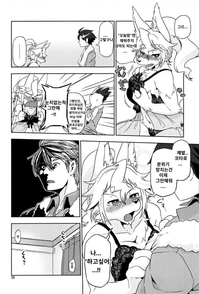 사백년만의 단풍연애 image number 4