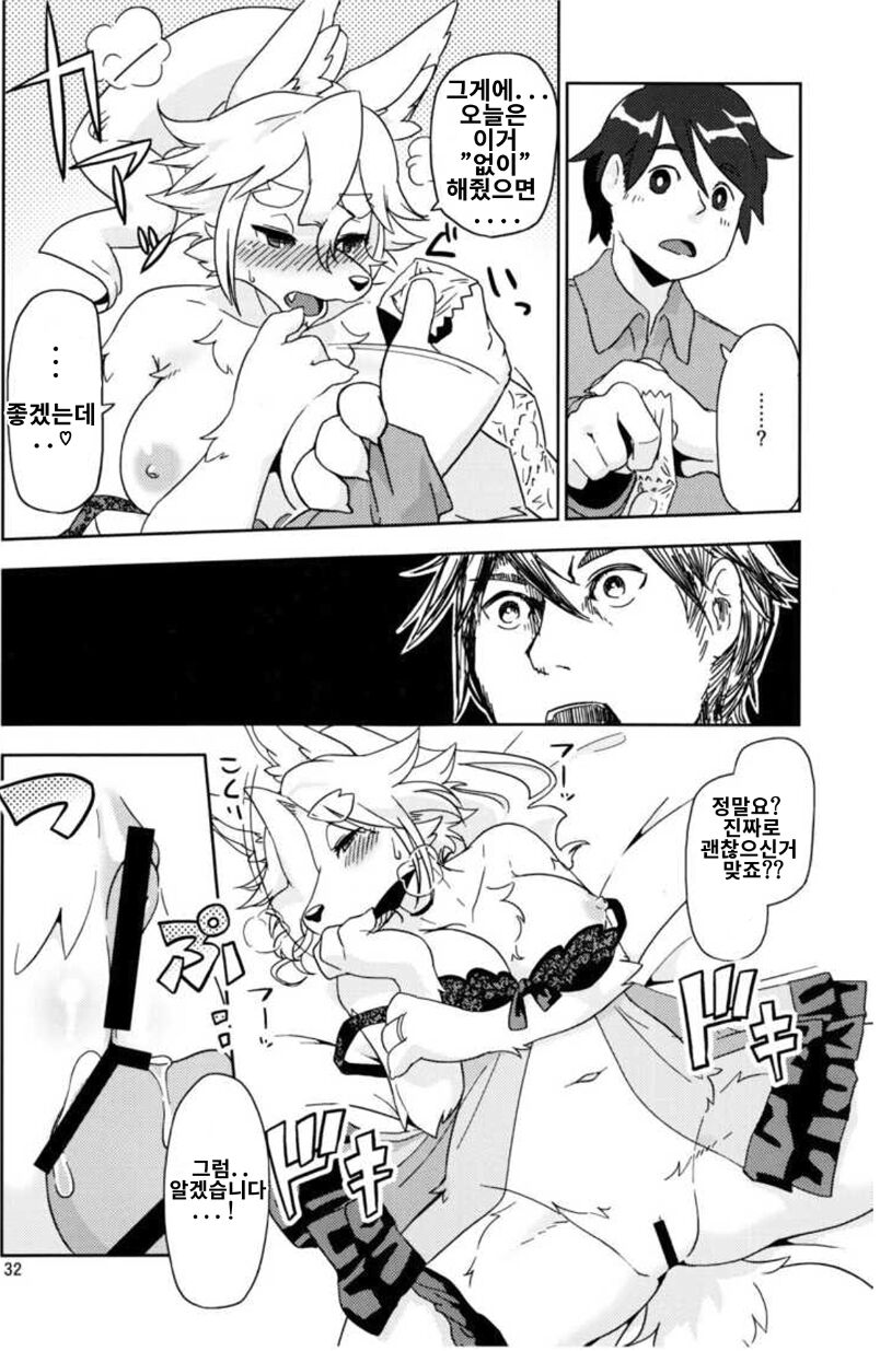 사백년만의 단풍연애 image number 6