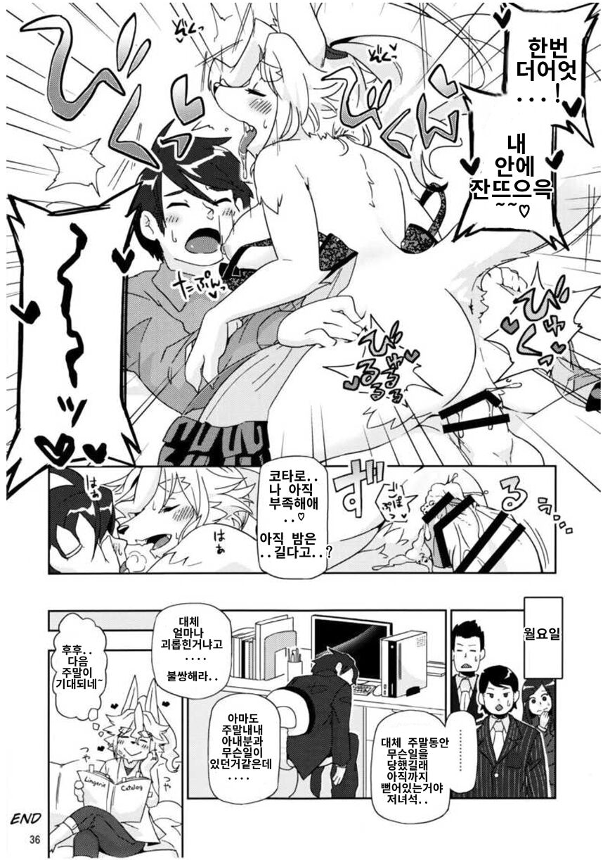 사백년만의 단풍연애 image number 10