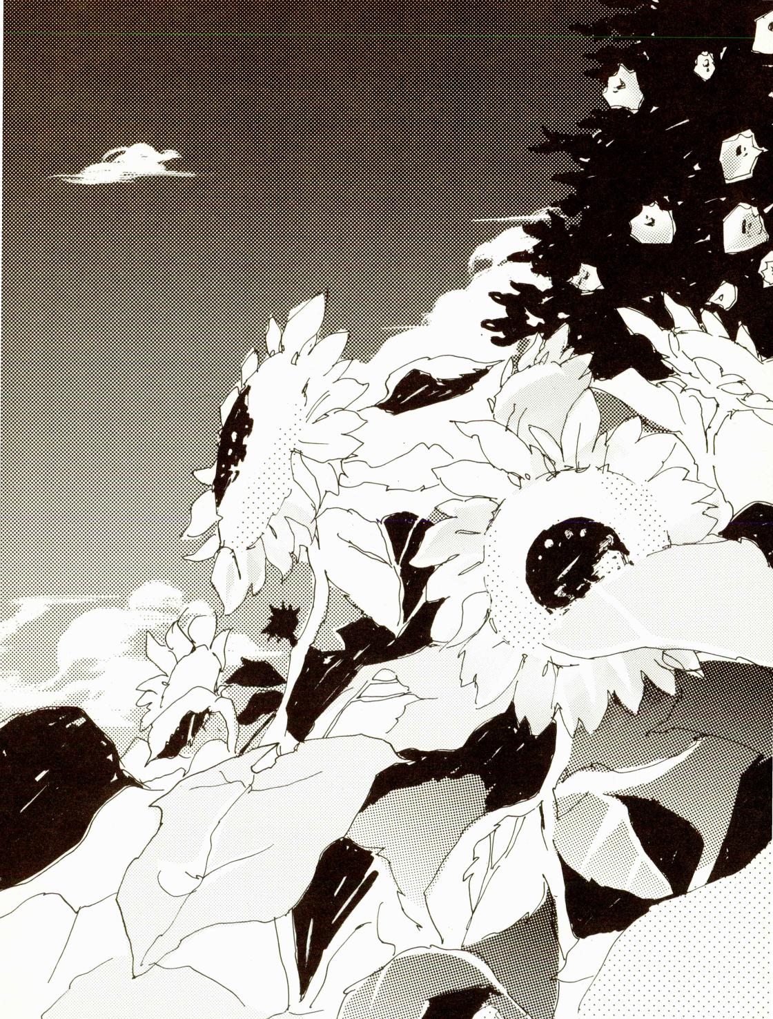 [Aozora Gundan (Hideyoshico)] 百年夏日。 (One Piece) [Chinese] numero di immagine  19