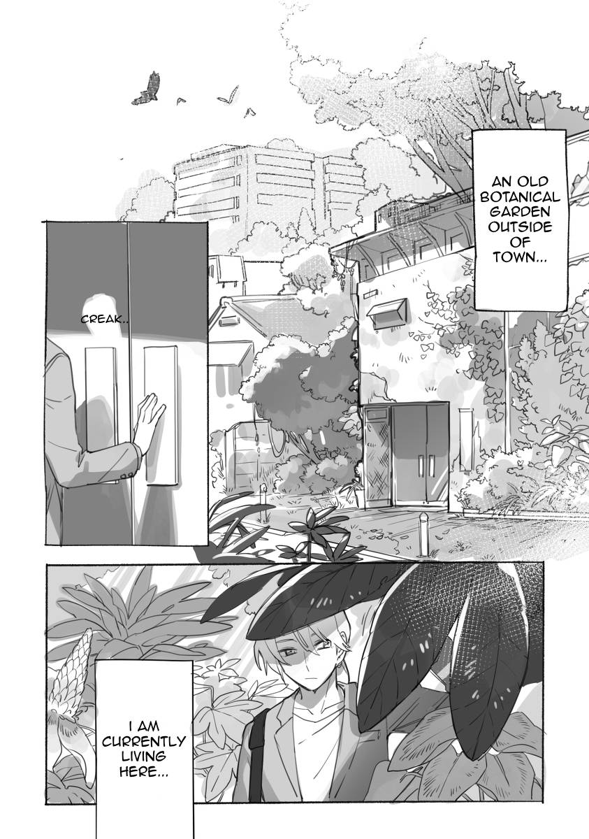 Kimi no iru niwa image number 2