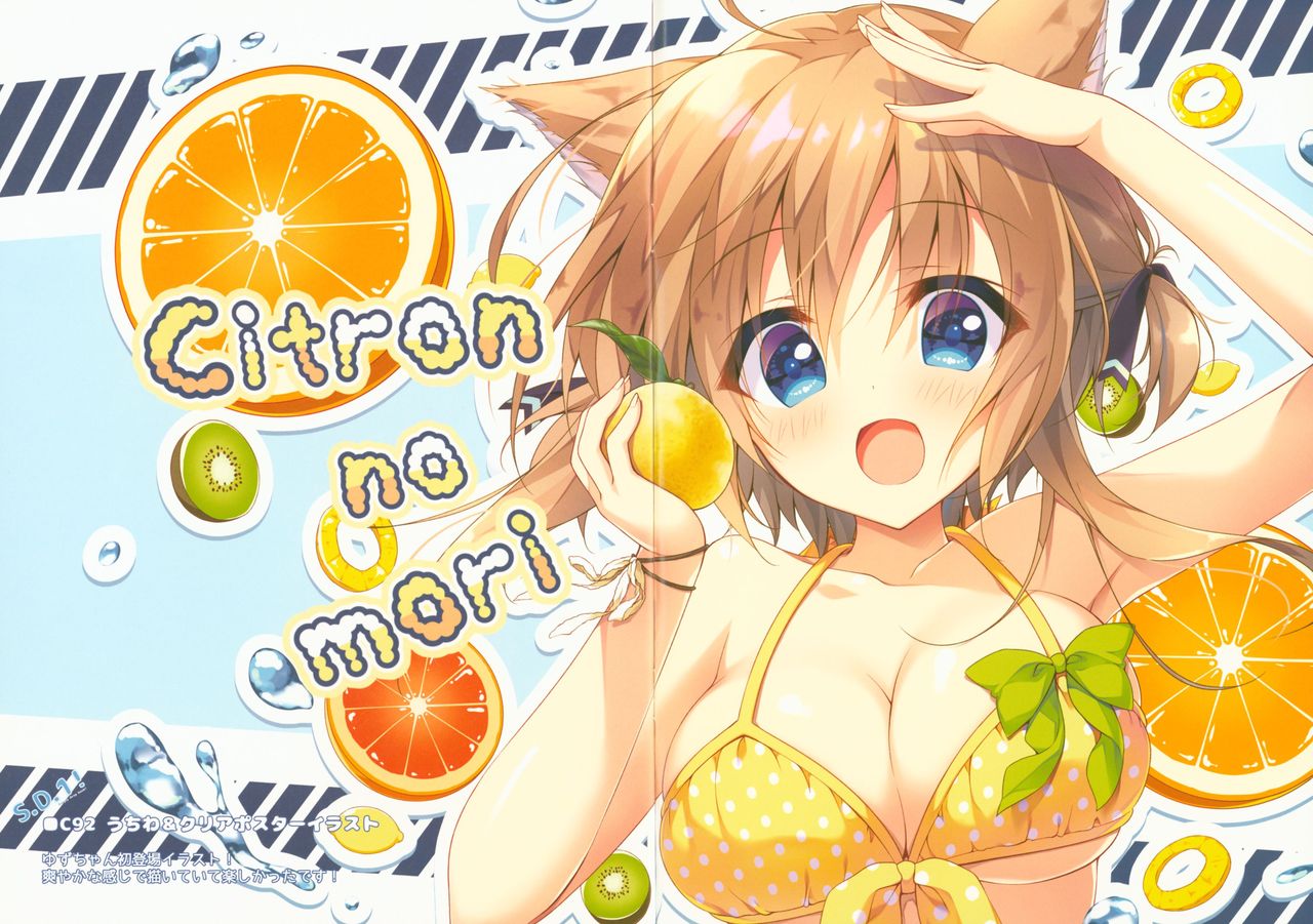 (C95) [Citron no mori (Yuzuna Hiyo)] S.D.1! 이미지 번호 3