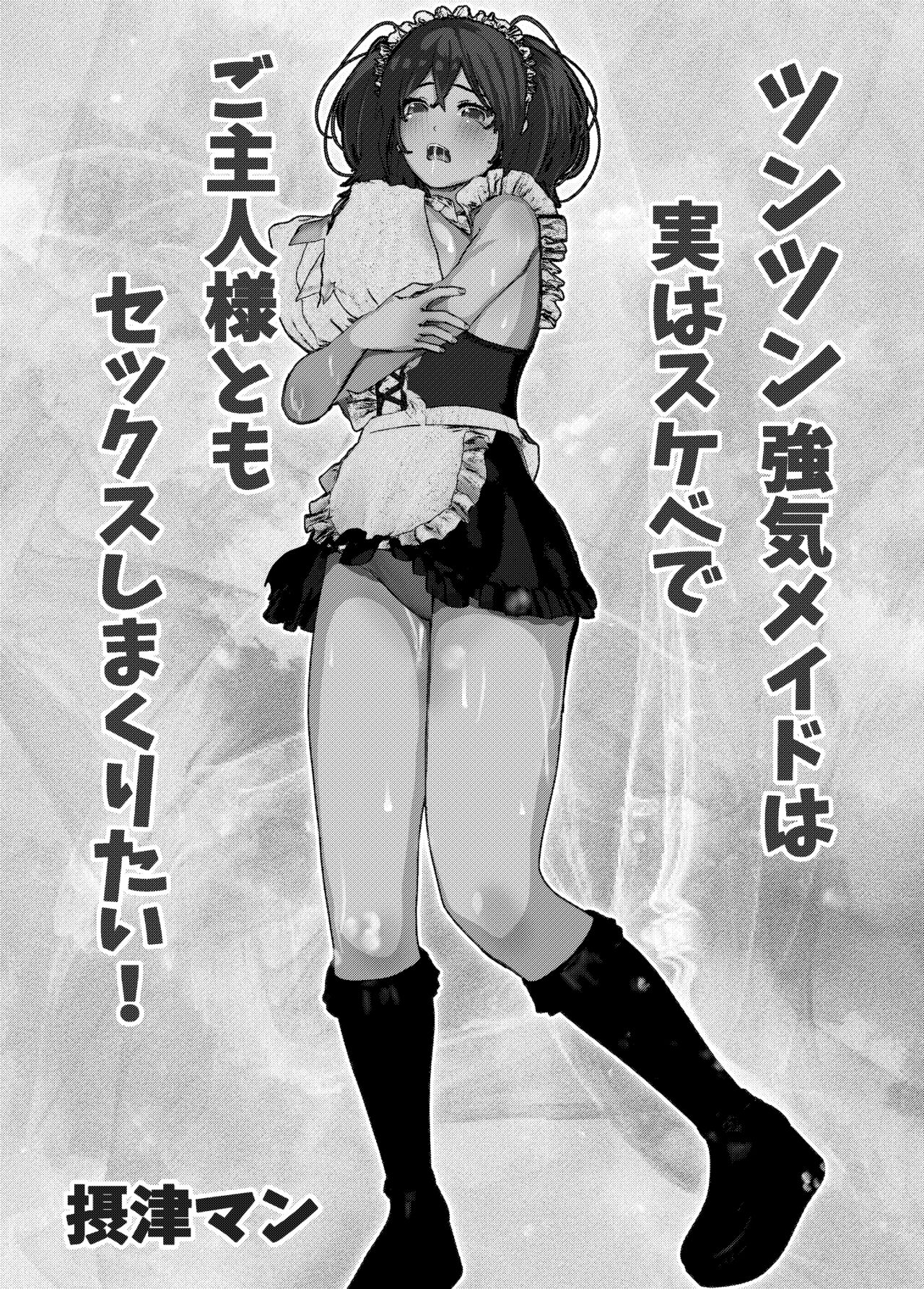 [摂津マン] 母性溢れる!母乳ママ、クール無表情、スケベ!色々なメイドさんとSEX総集編 numero di immagine  65