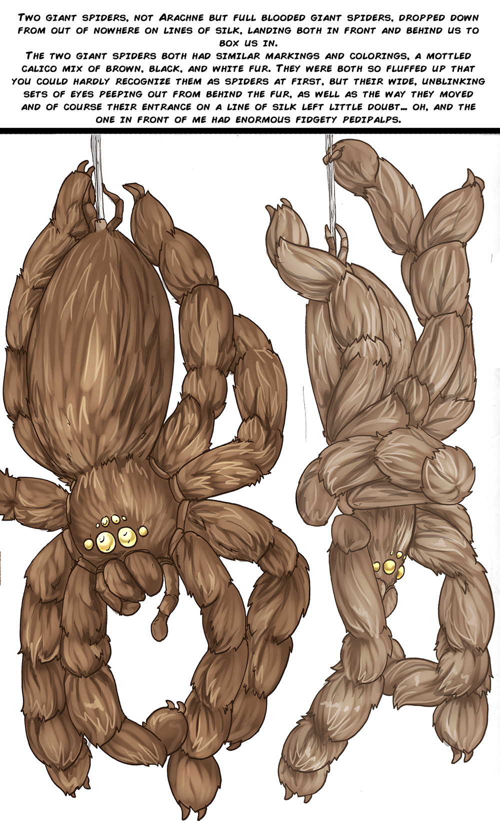 Arania Comic Archive O3 image number 138