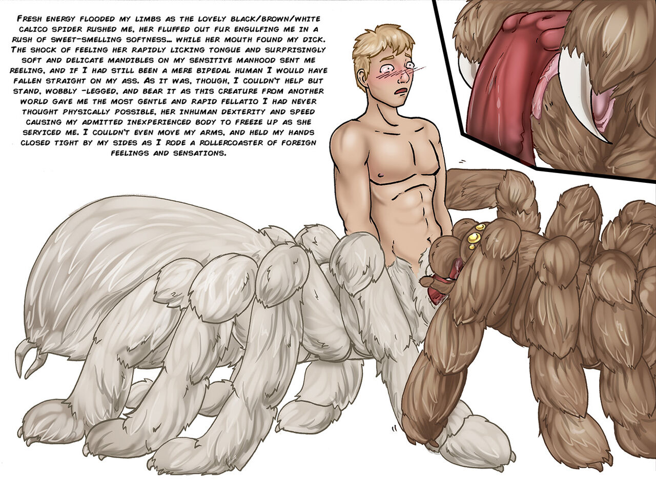 Arania Comic Archive O3 image number 142