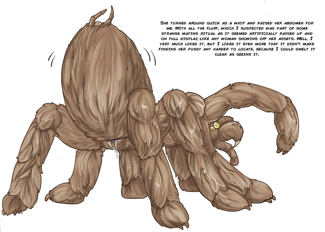 Arania Comic Archive O3 image number 143