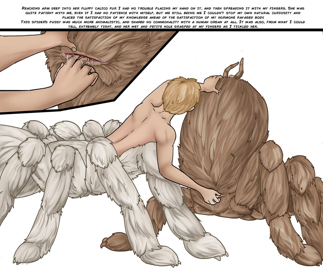 Arania Comic Archive O3 image number 144