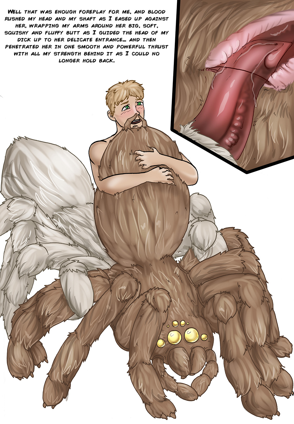 Arania Comic Archive O3 image number 145